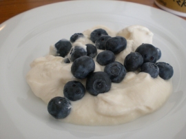 Blueberries and Yogurt